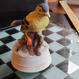 Bird Music Box super cute bird